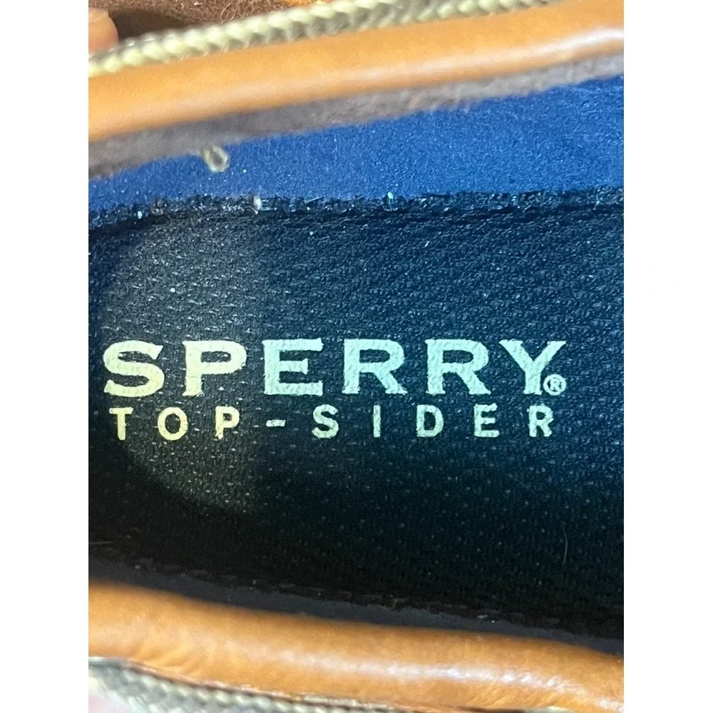 Sperry great pre